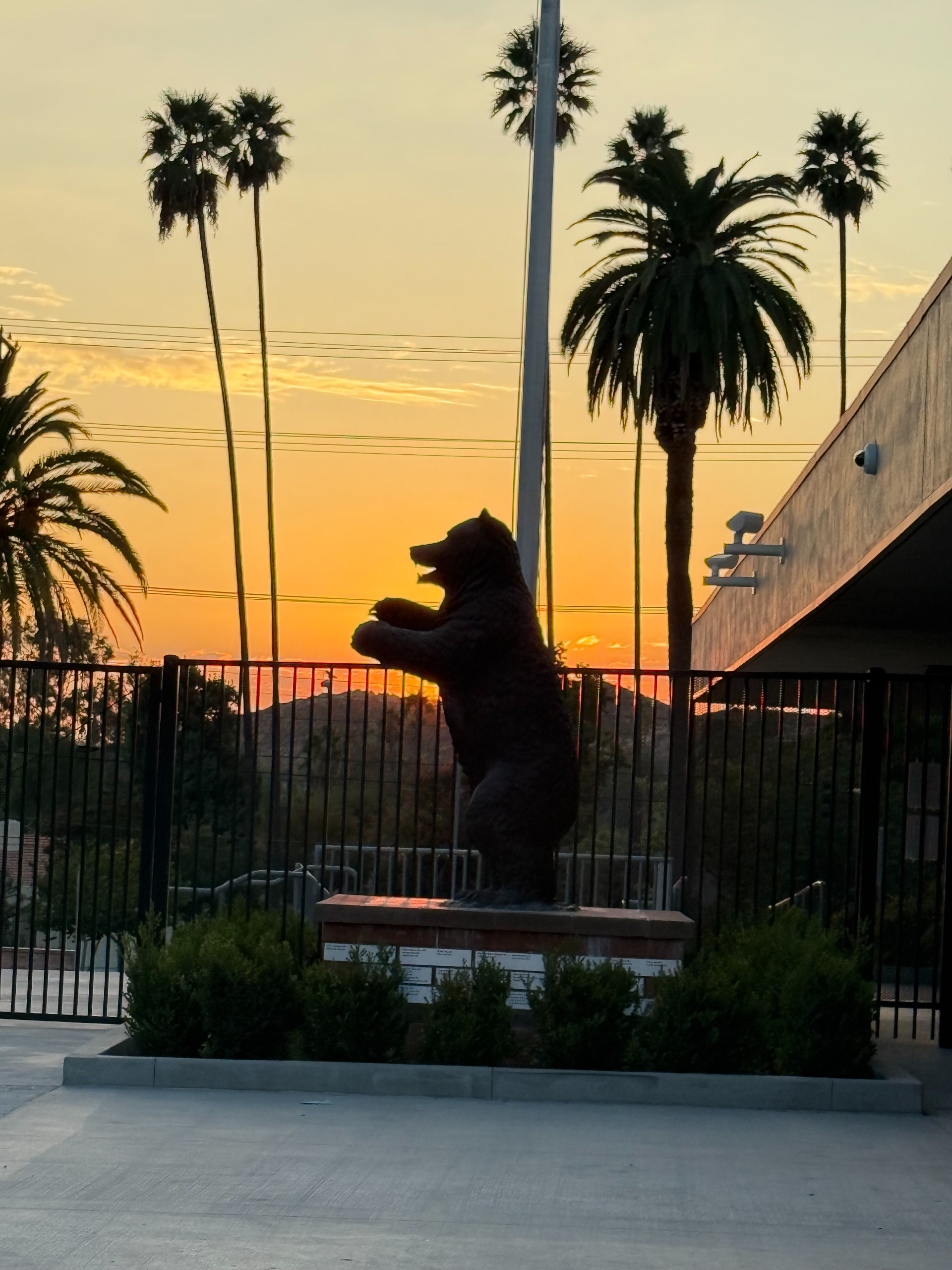 🐻 Fall Sports Season Recap – Go Bears! 🐻