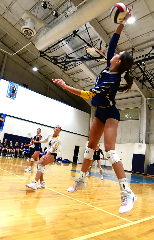 Vote for TC Palm: Volleyball Area’s Best Player