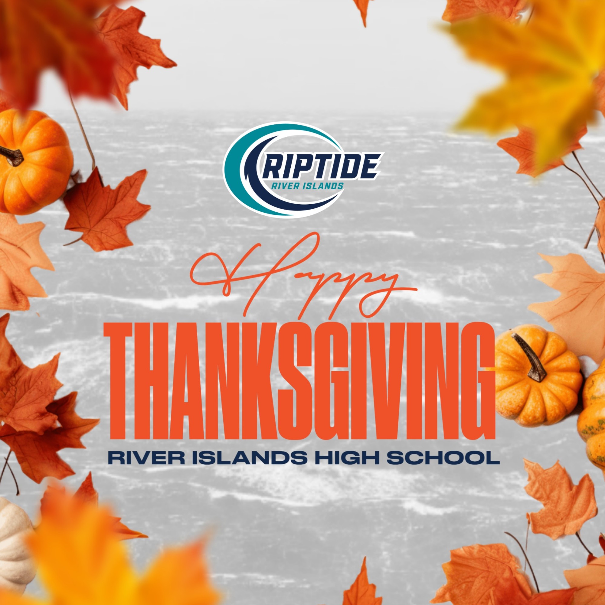 Happy Thanksgiving!!