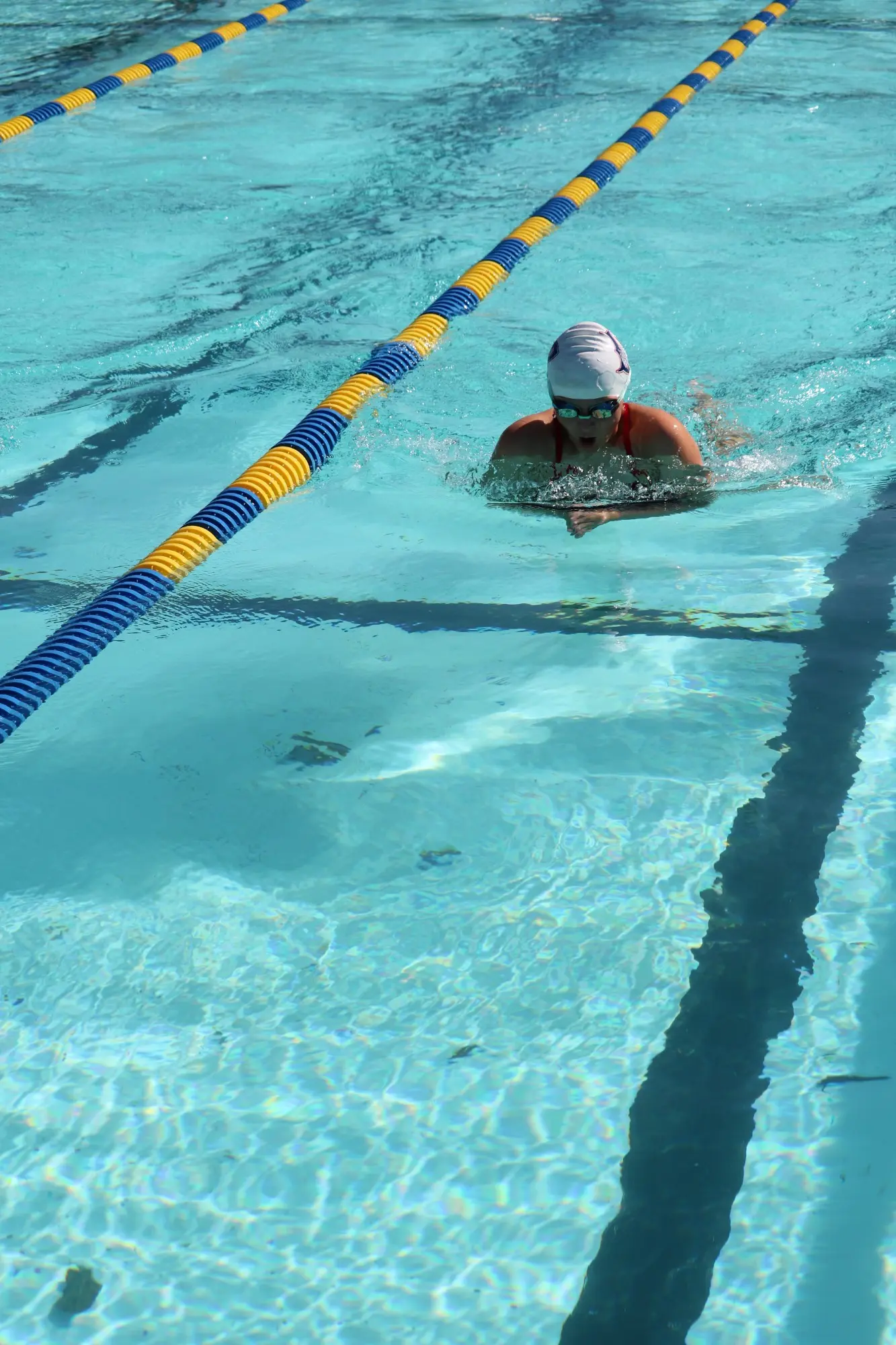 Las Plumas Swimmers Rise to the Challenge