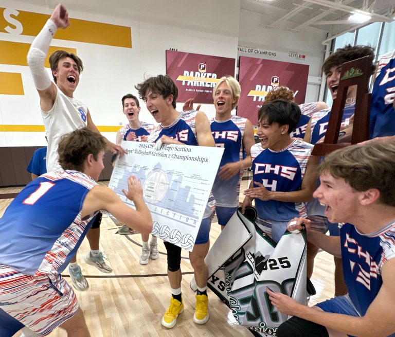 DIVISION 2 Volleyball Champions!