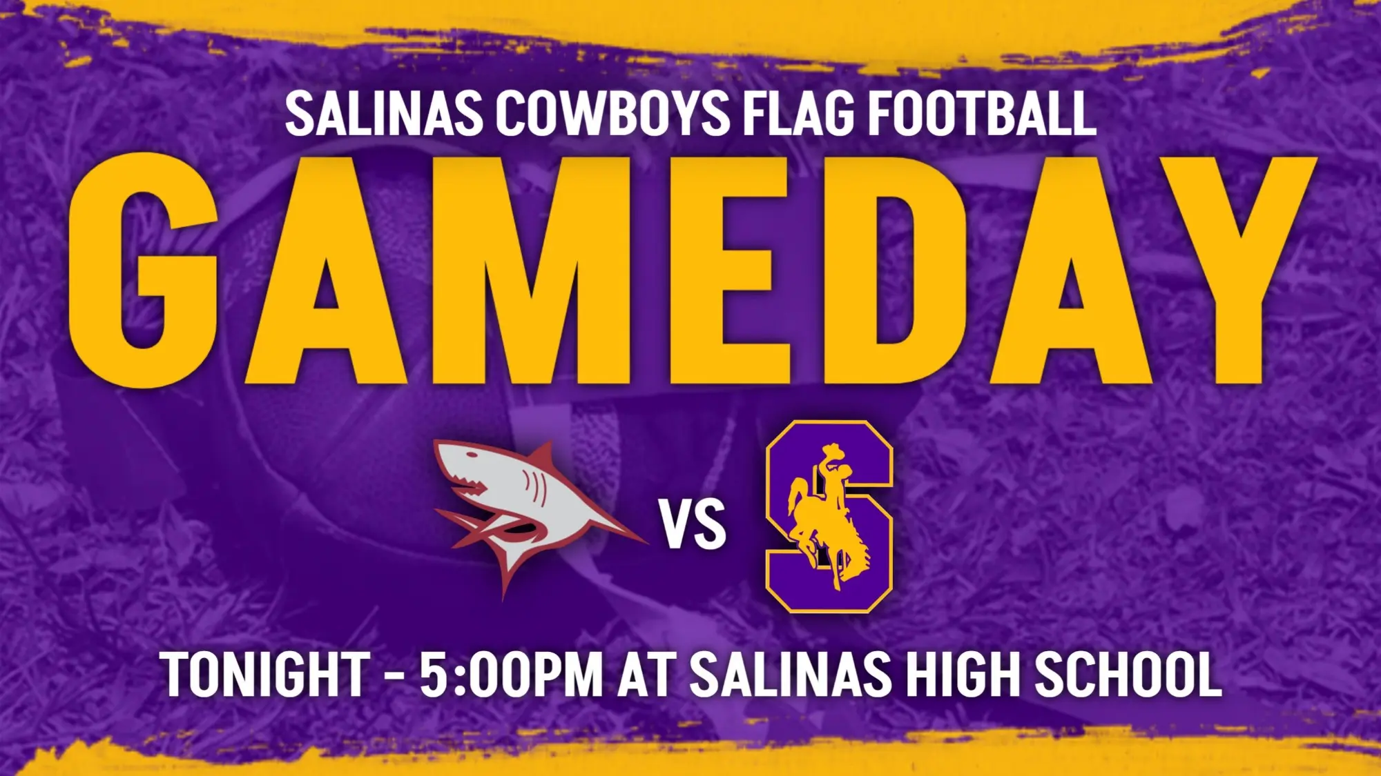 Flag Football Tonight vs St. Francis