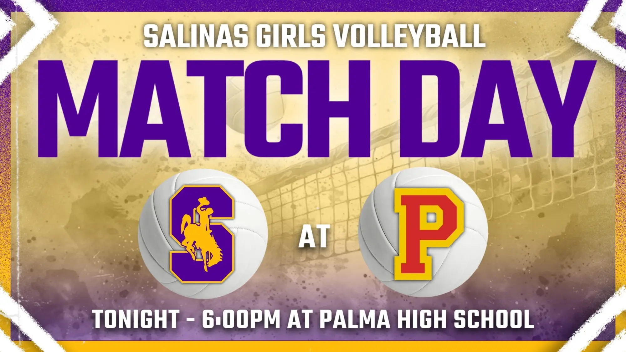 Girls Volleyball Tonight at Palma