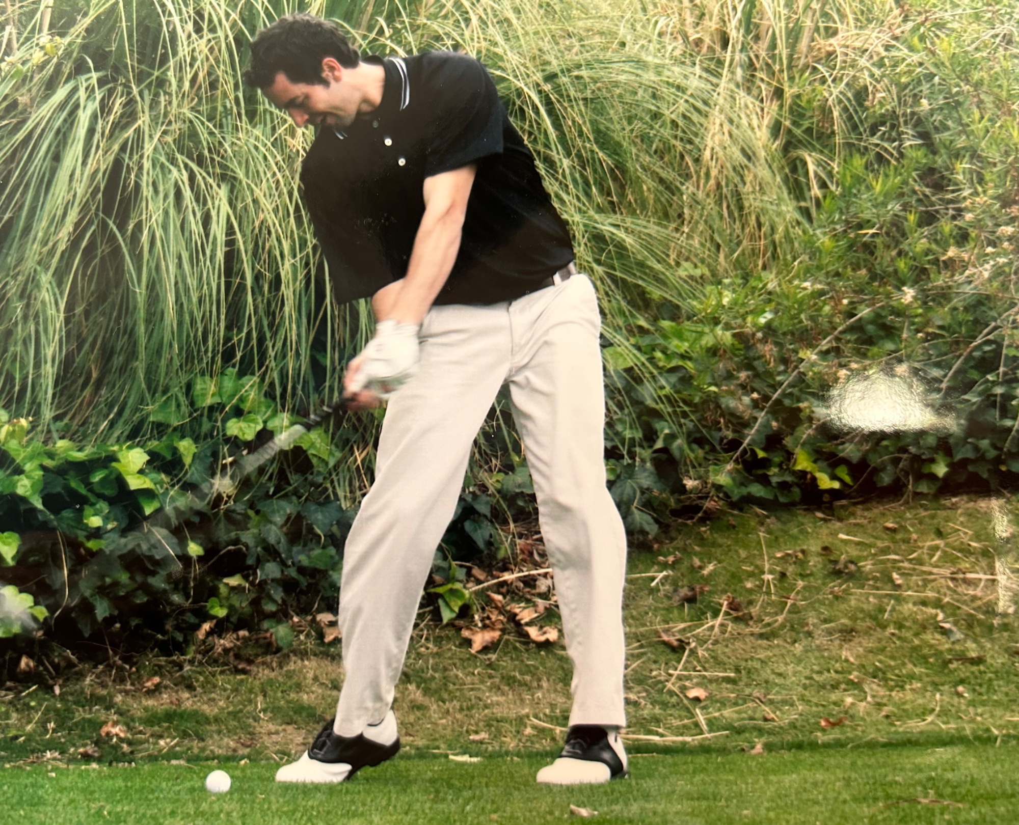 Carty Earns Medalist Honors