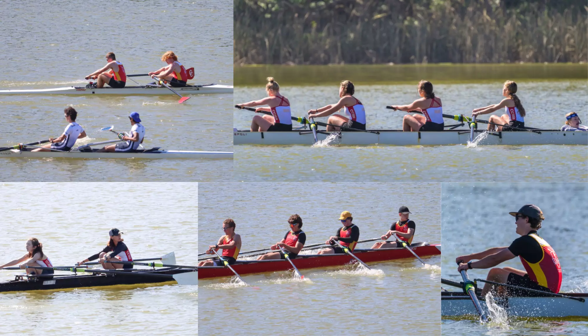 Crew Rows a School Record 29 Races at the 2024 PAC Invite Regatta