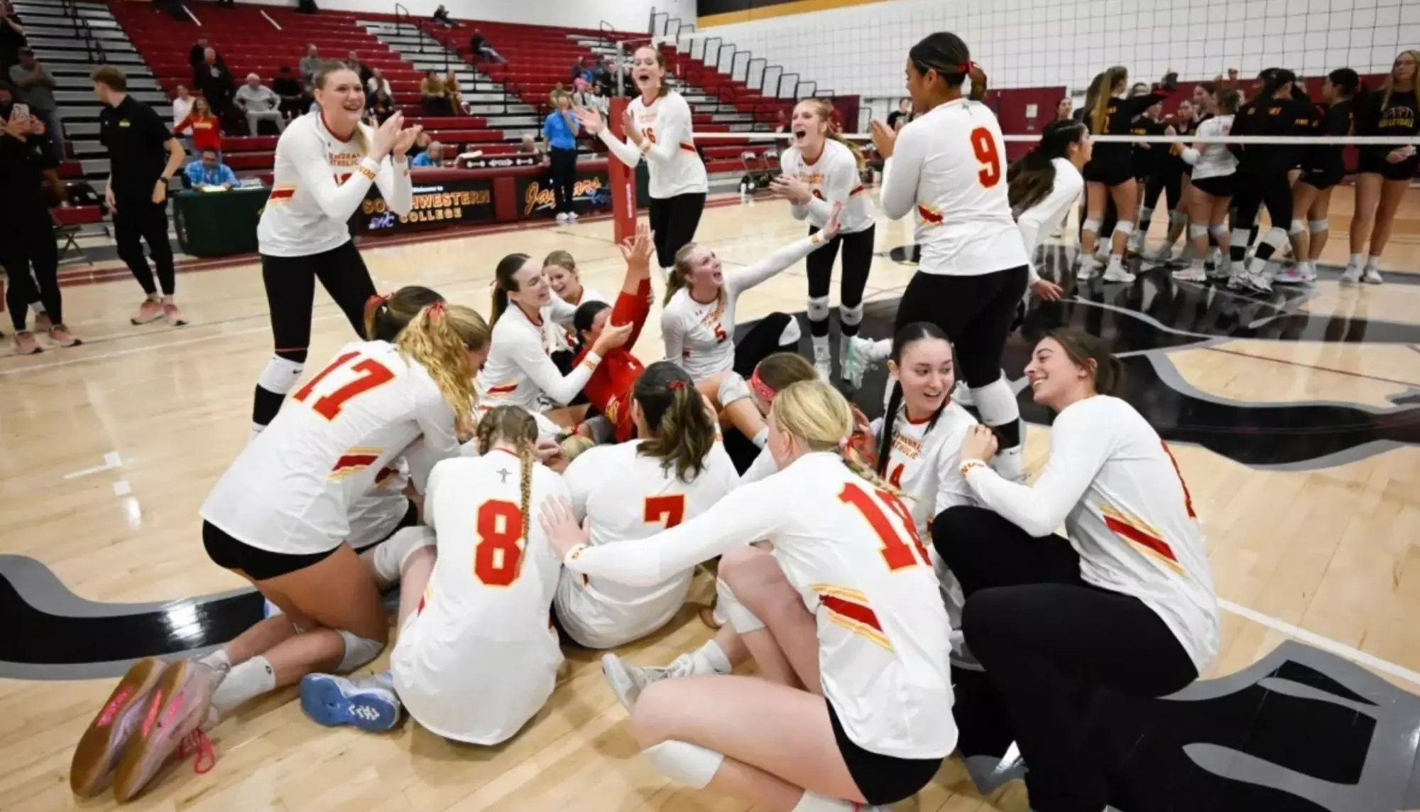 Volleyball Finals Dog Pile